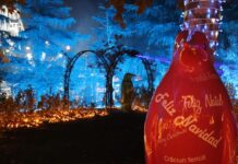 Descubre el Círculo Pingüino del Parque de las Mágicas Navidades de Torrejón de Ardoz 2025