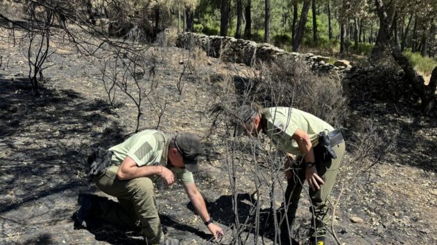 La Comunidad de Madrid aprueba la solicitud de Zona Gravemente Afectada por los incendios