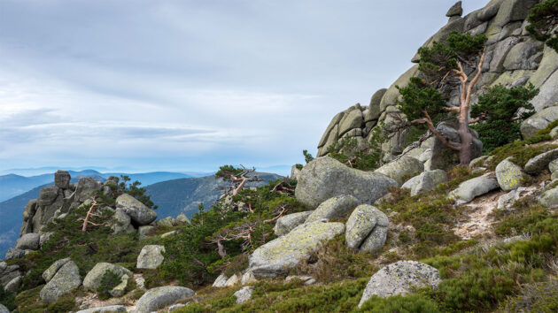 Recomendaciones de la Comunidad de Madrid para tus excursiones a la montaña durante el verano