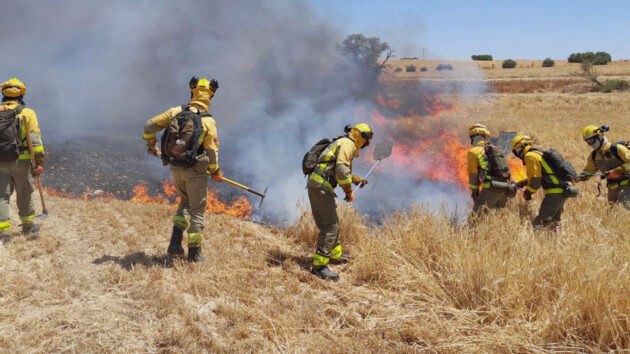 Identificados 21 presuntos autores de los incendios forestales intencionados de este verano