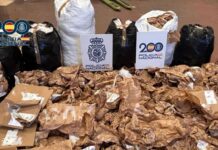 Desarticulado en Torrejón de Ardoz un grupo criminal que sustrajo más de 1,5 millones de euros en ropa y calzado