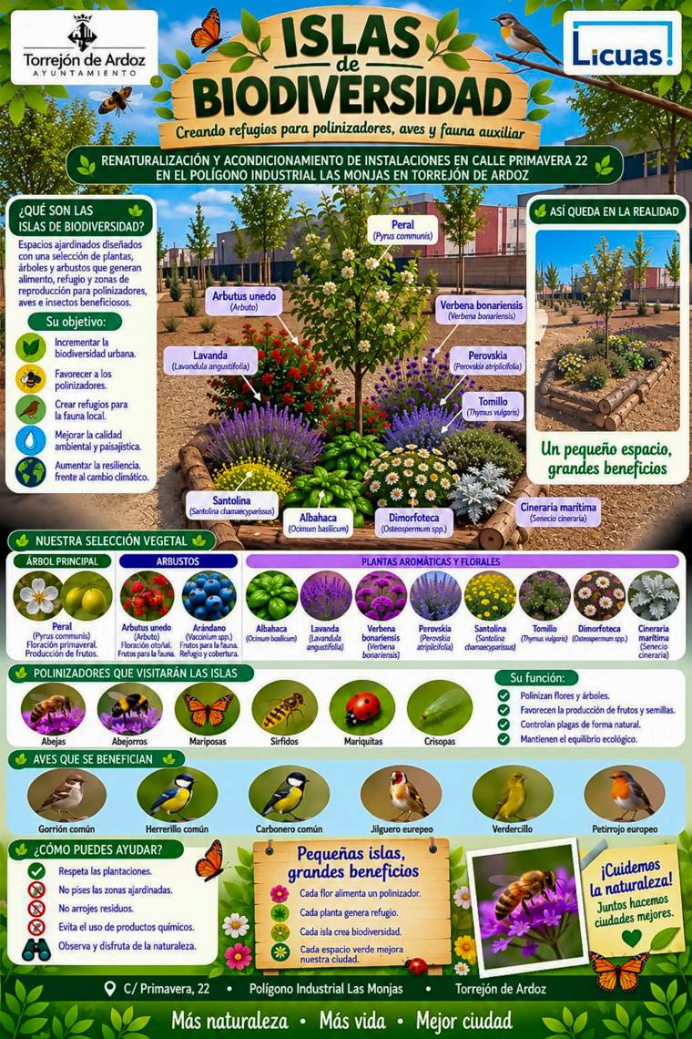 Torrejón renaturaliza una parcela en el Polígono Las Monjas con un nuevo jardín y dos islas de biodiversidad